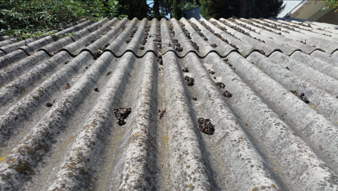 Asbestos Exposure: Understanding Risks, Symptoms, and Prevention