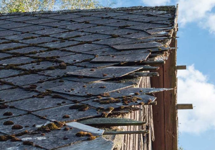 Asbestos Testing: A Complete Guide to Safe Detection and Inspection